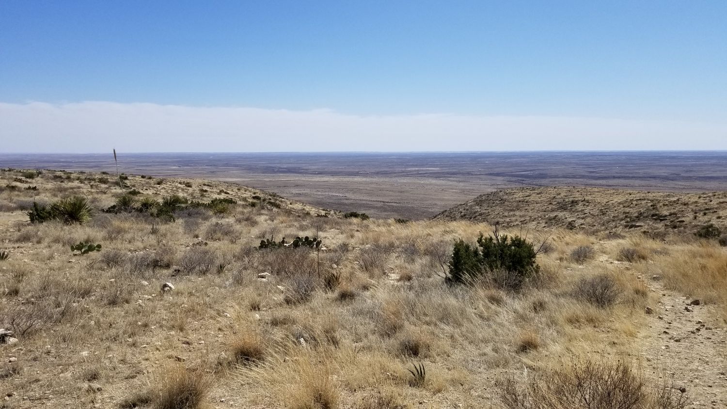 Old Guano Trail 